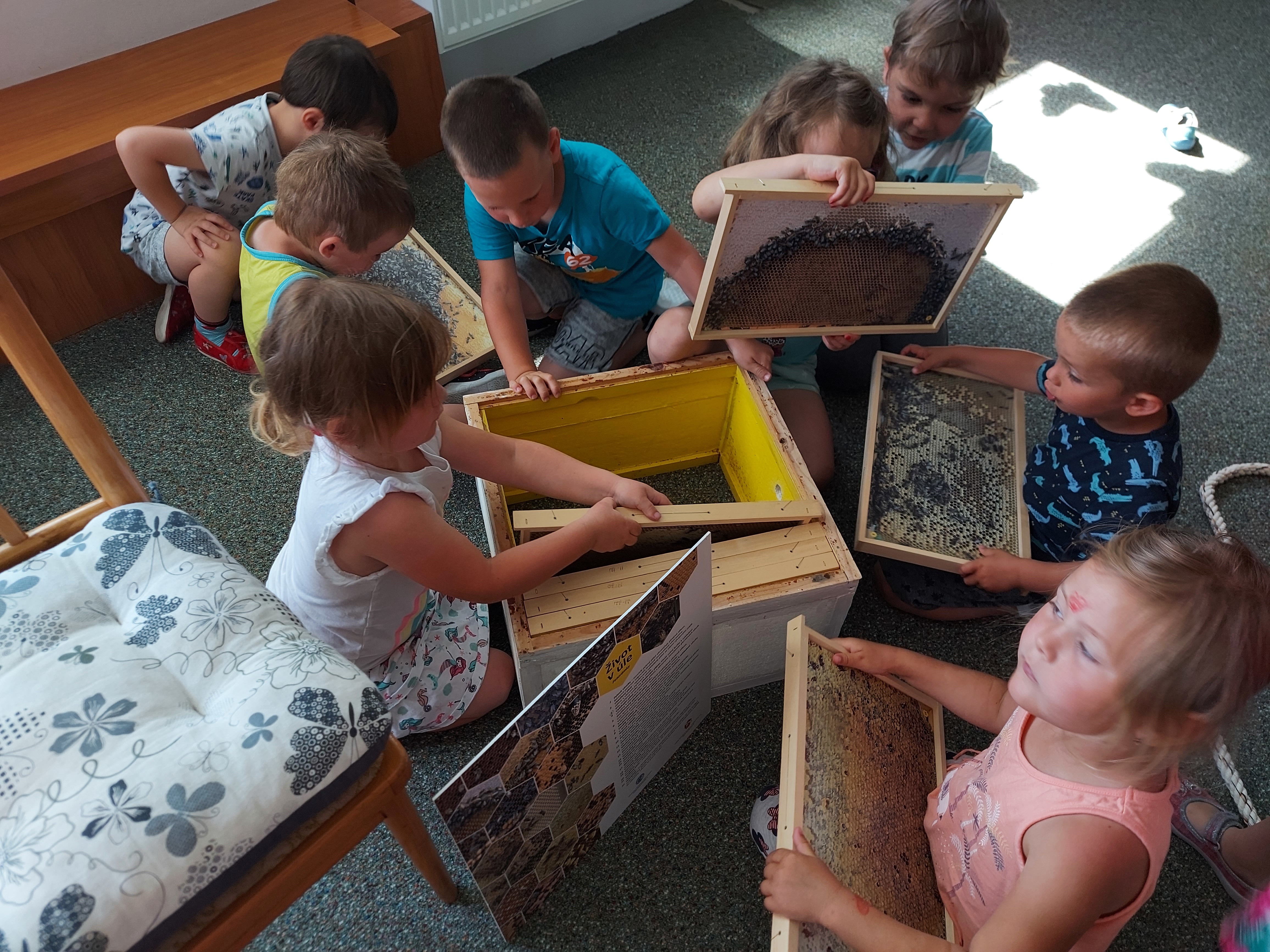děti si prohlížejí model včelího úlu